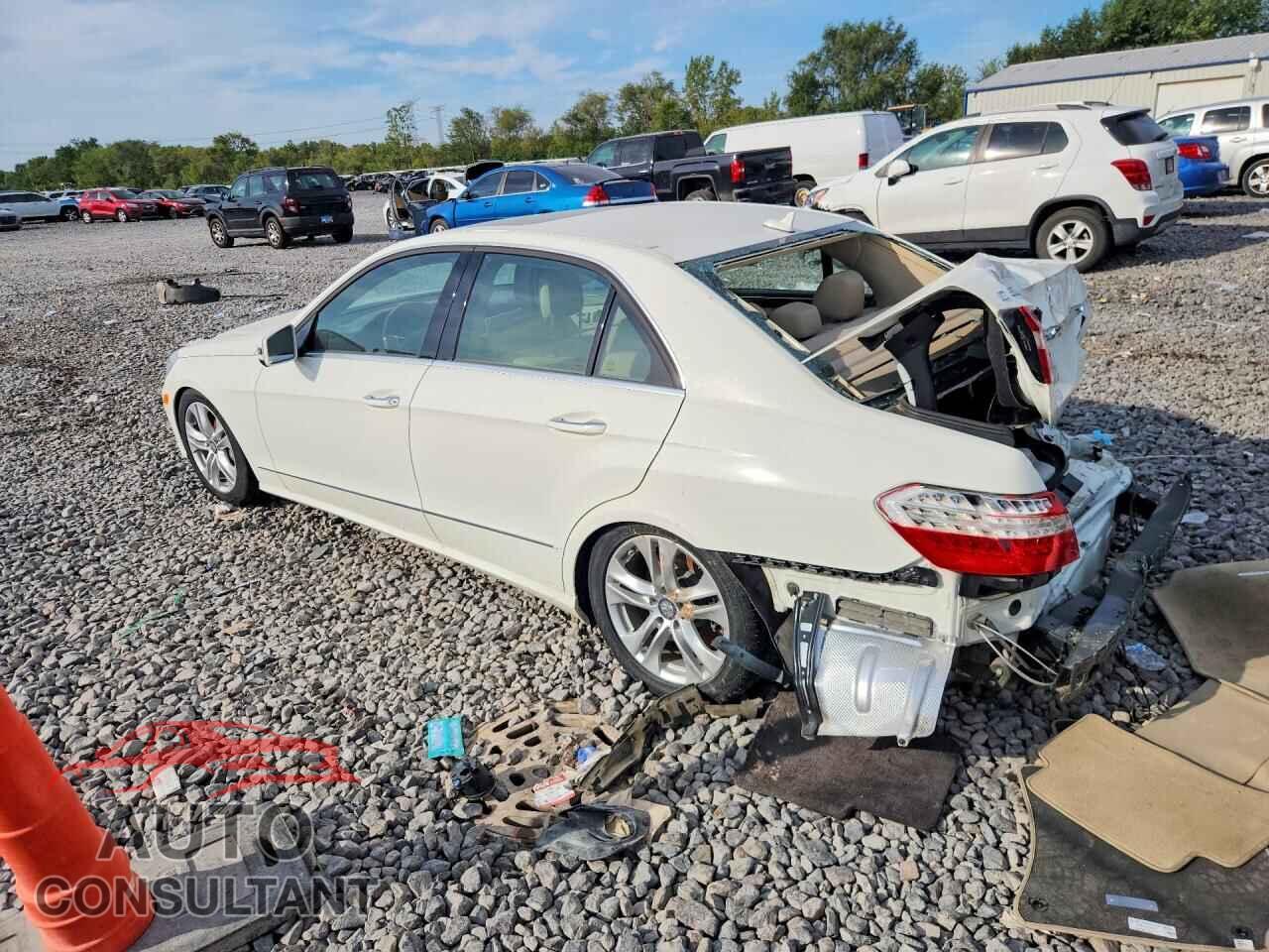 MERCEDES-BENZ E-CLASS 2010 - WDDHF7CB9AA168664