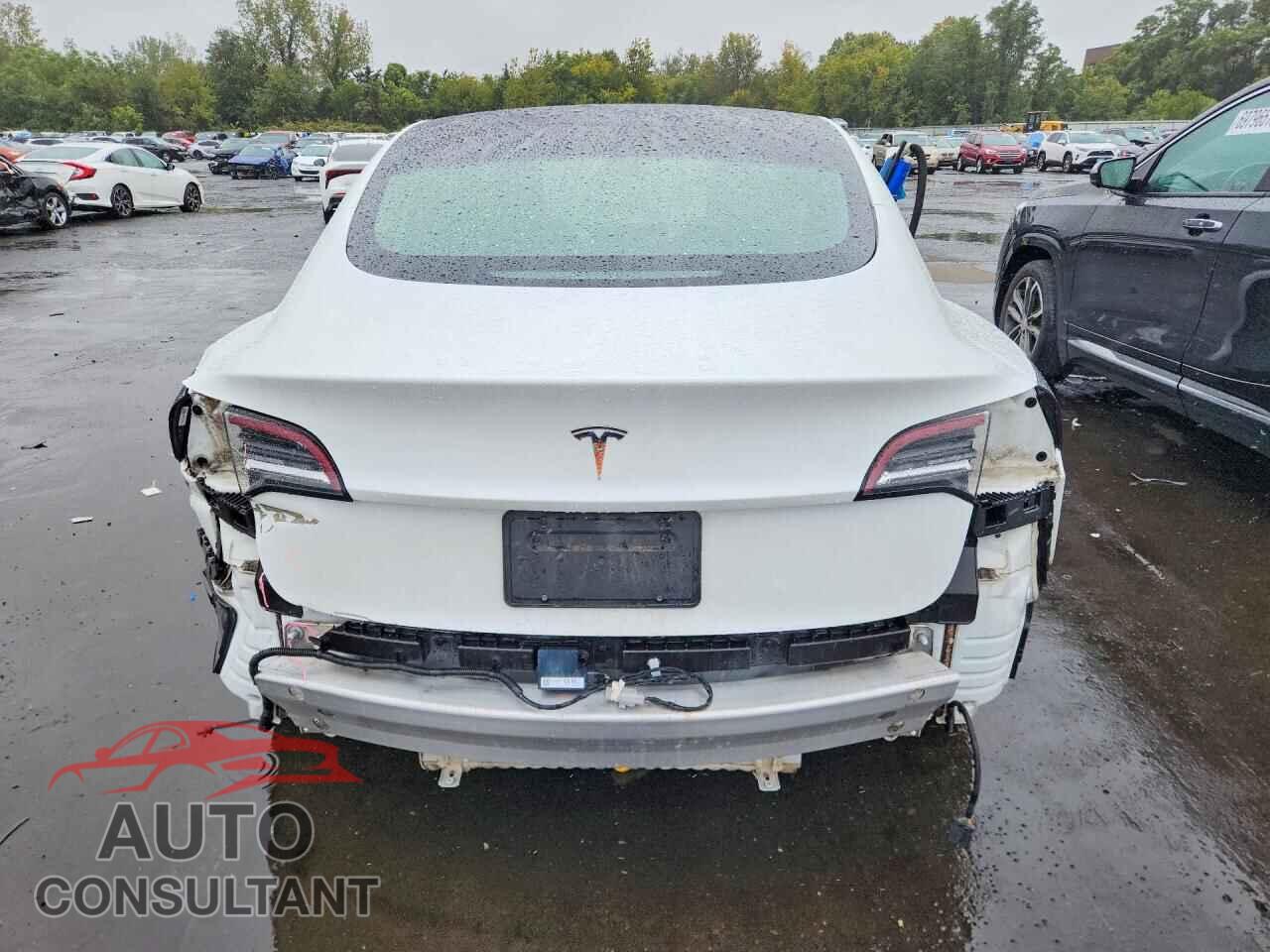 TESLA MODEL 3 2019 - 5YJ3E1EA7KF484033