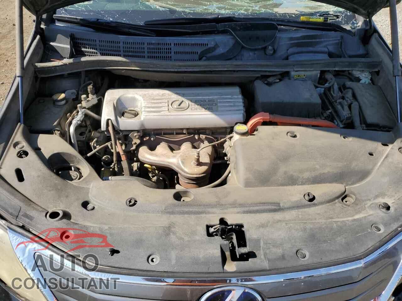 LEXUS HS 2010 - JTHBB1BA3A2007463