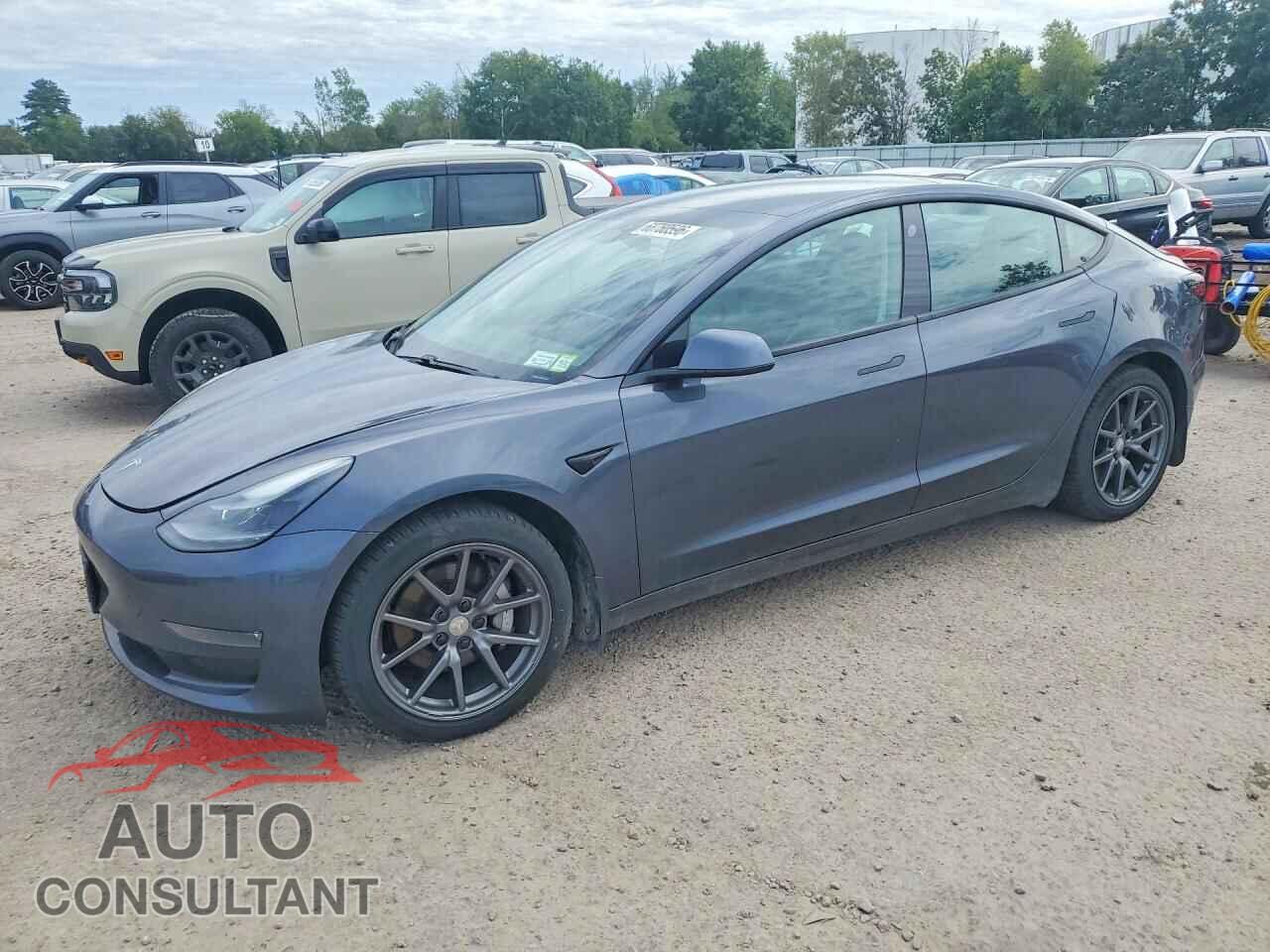 TESLA MODEL 3 2021 - 5YJ3E1EB8MF019434