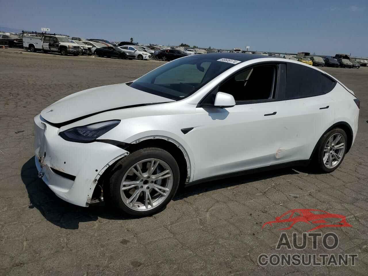 TESLA MODEL Y 2021 - 5YJYGDEE3MF066351