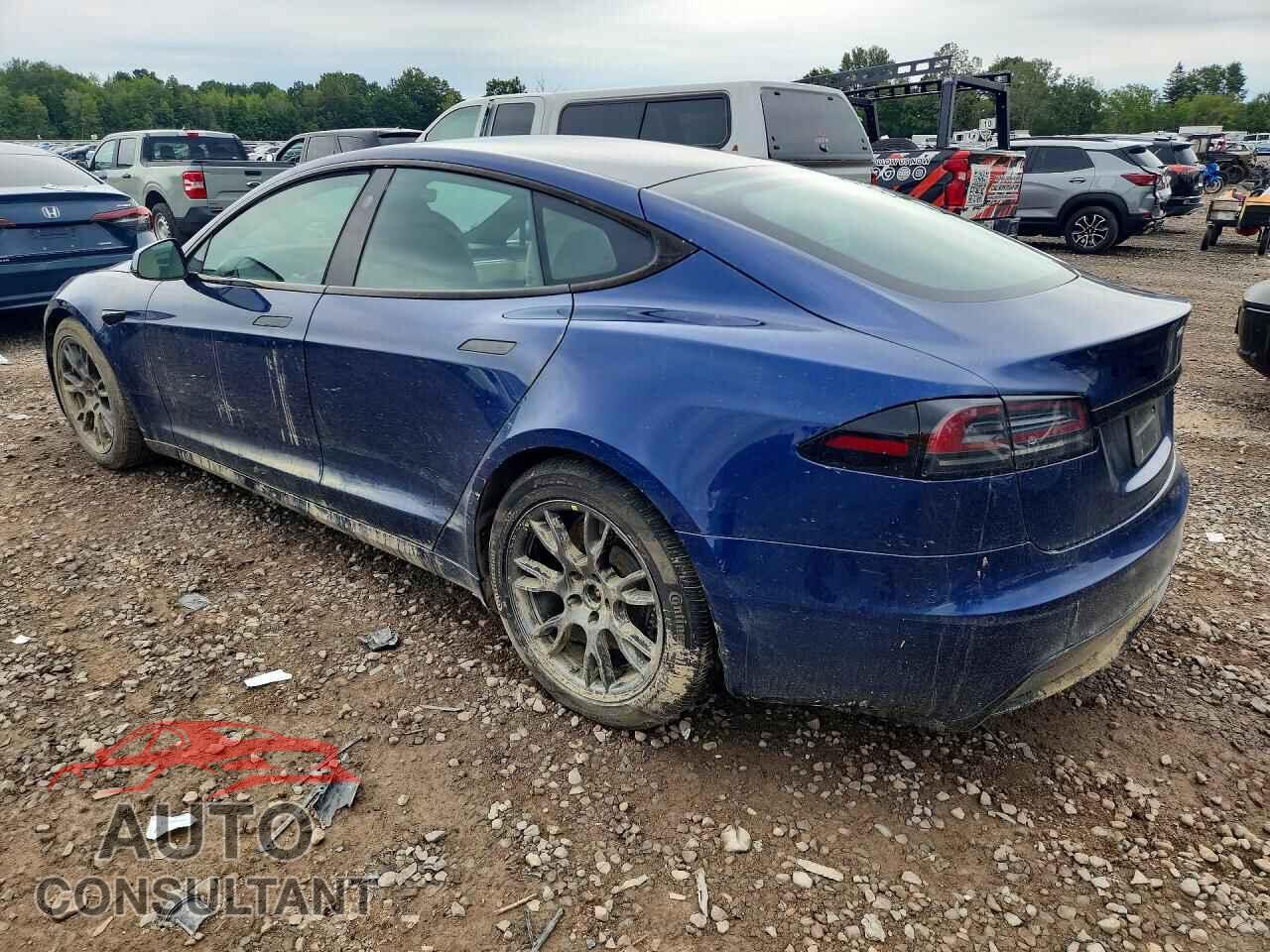 TESLA MODEL S 2023 - 5YJSA1E54PF502229