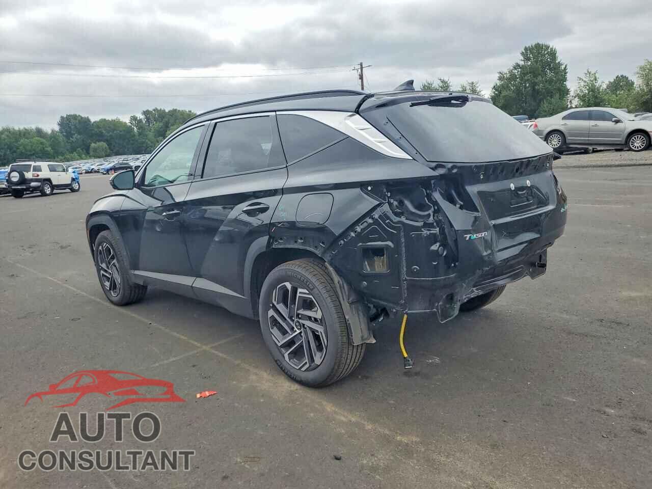 HYUNDAI TUCSON 2025 - KM8JEDD16SU329051