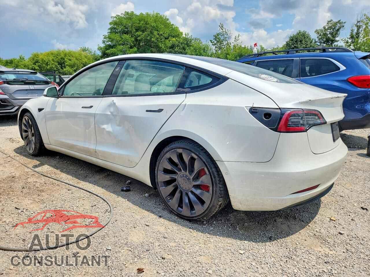 TESLA MODEL 3 2021 - 5YJ3E1EC5MF875363