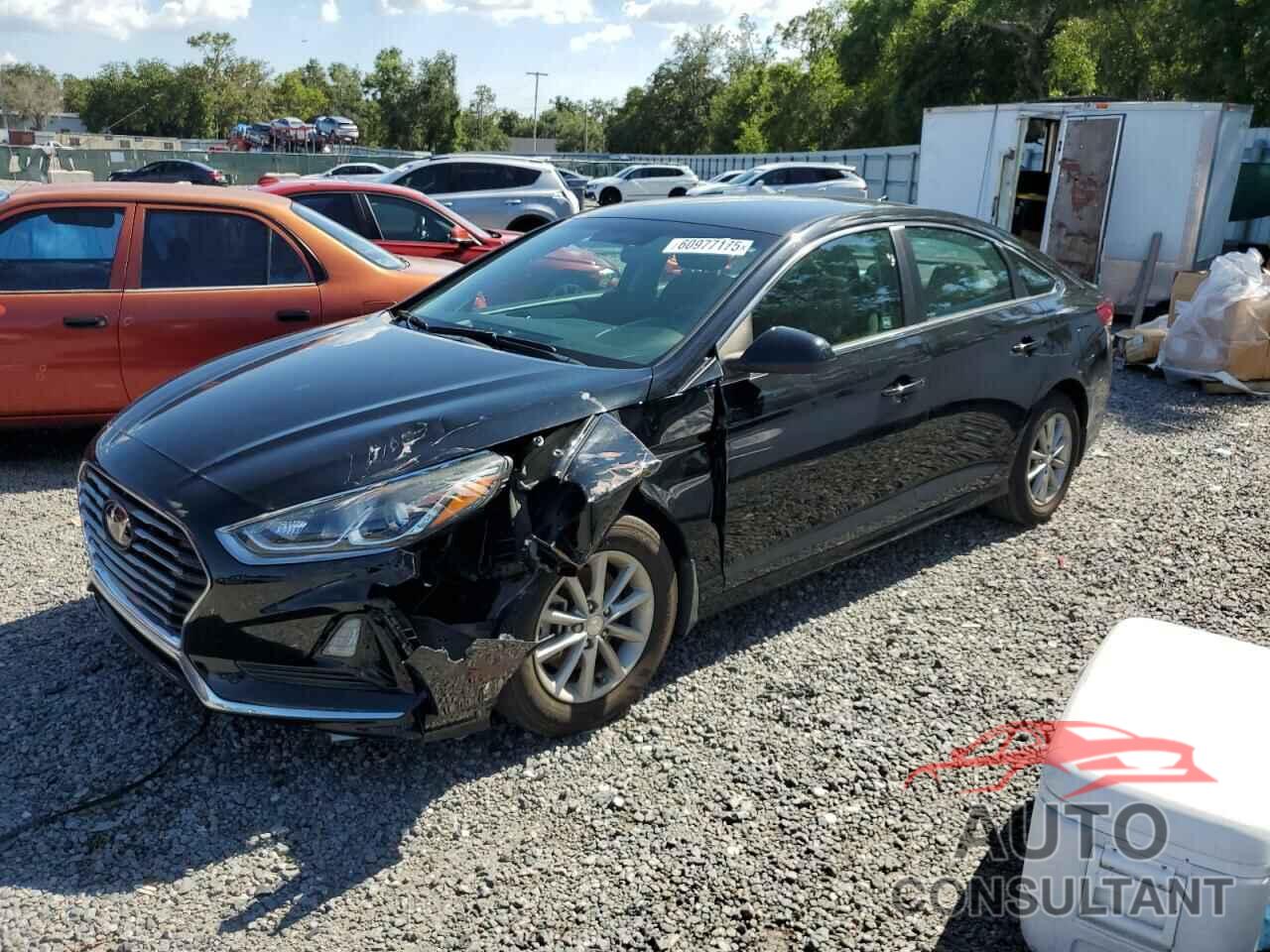 HYUNDAI SONATA 2019 - 5NPE24AF5KH787821