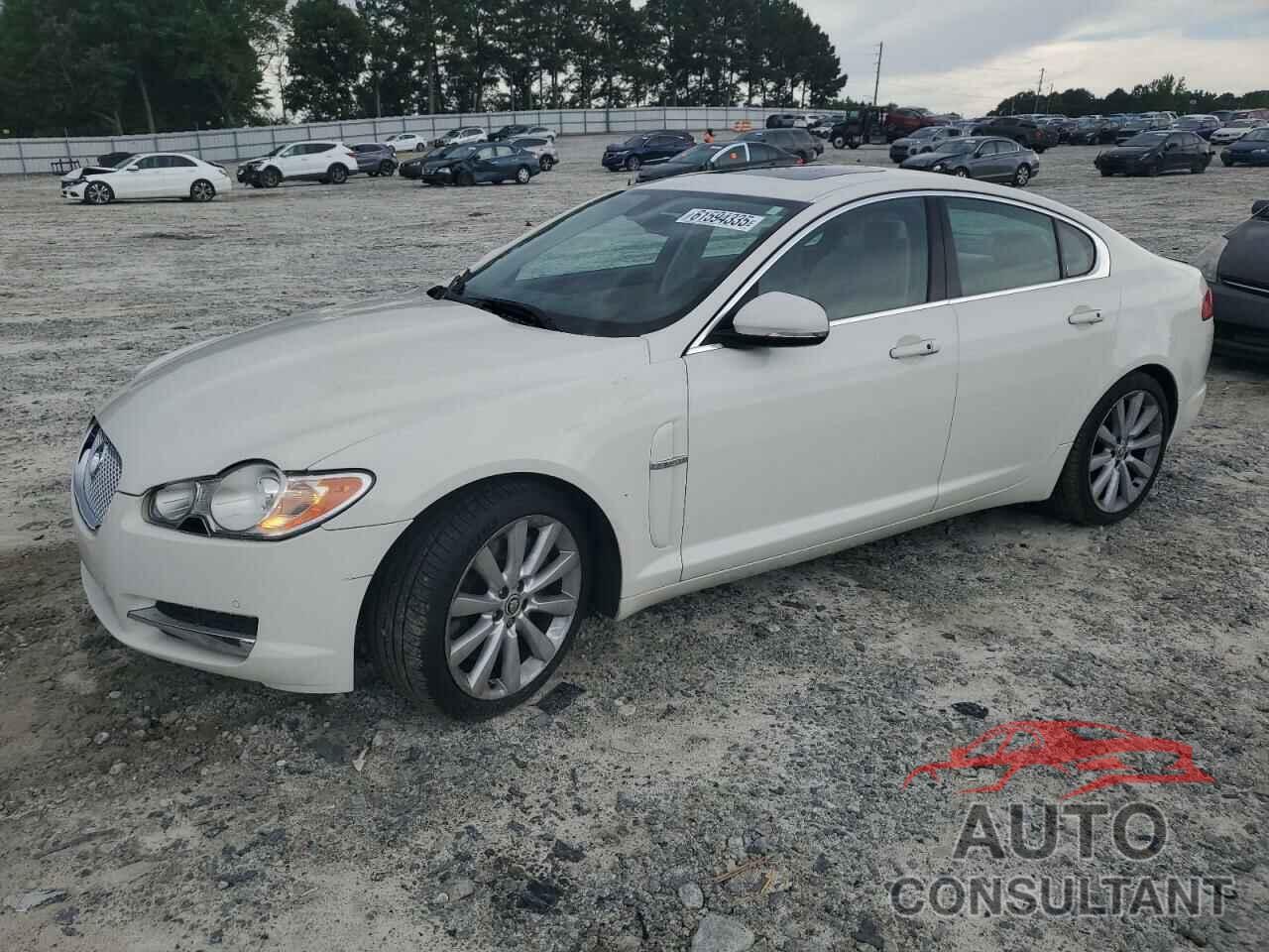 JAGUAR XF 2010 - SAJWA0GB6ALR64862