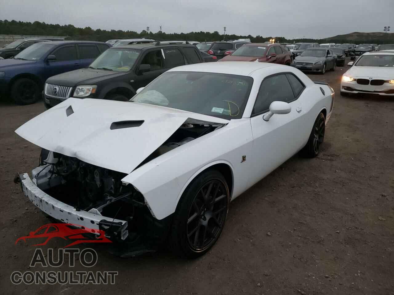 DODGE CHALLENGER 2018 - 2C3CDZFJ9JH237741