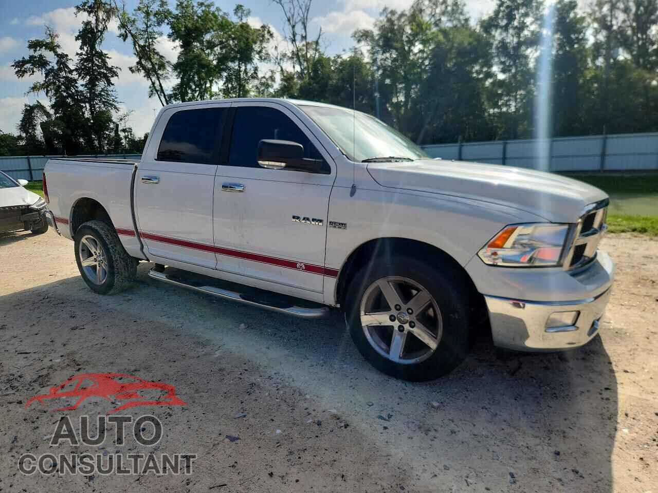 DODGE RAM 1500 2010 - 1D7RB1CT6AS205993