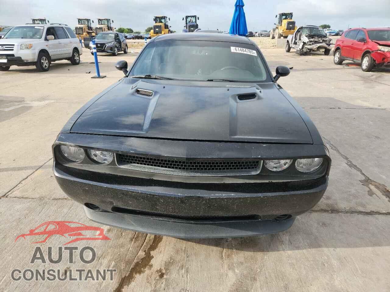 DODGE CHALLENGER 2014 - 2C3CDYAG2EH210019