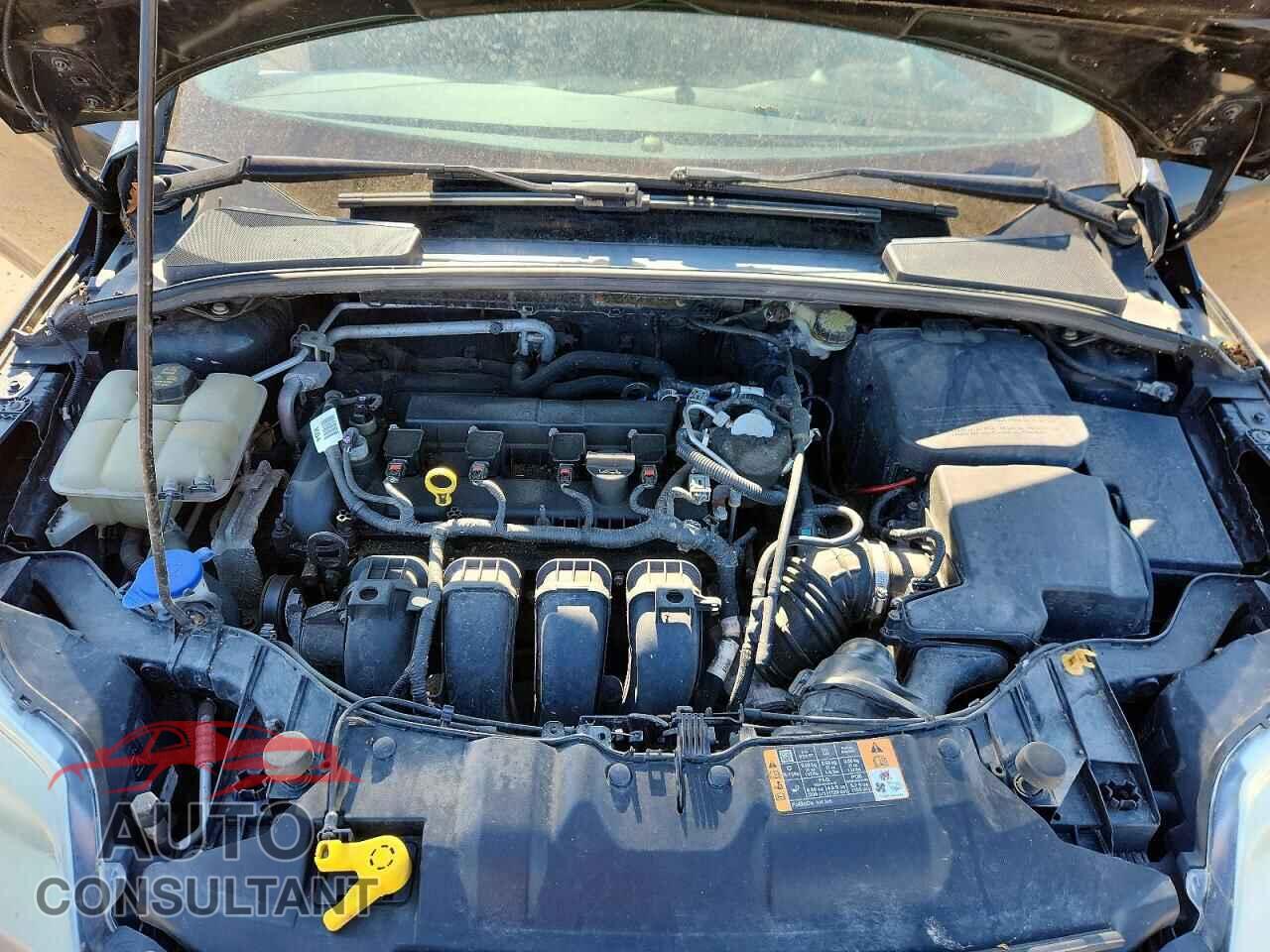 FORD FOCUS 2014 - 1FADP3F29EL295117