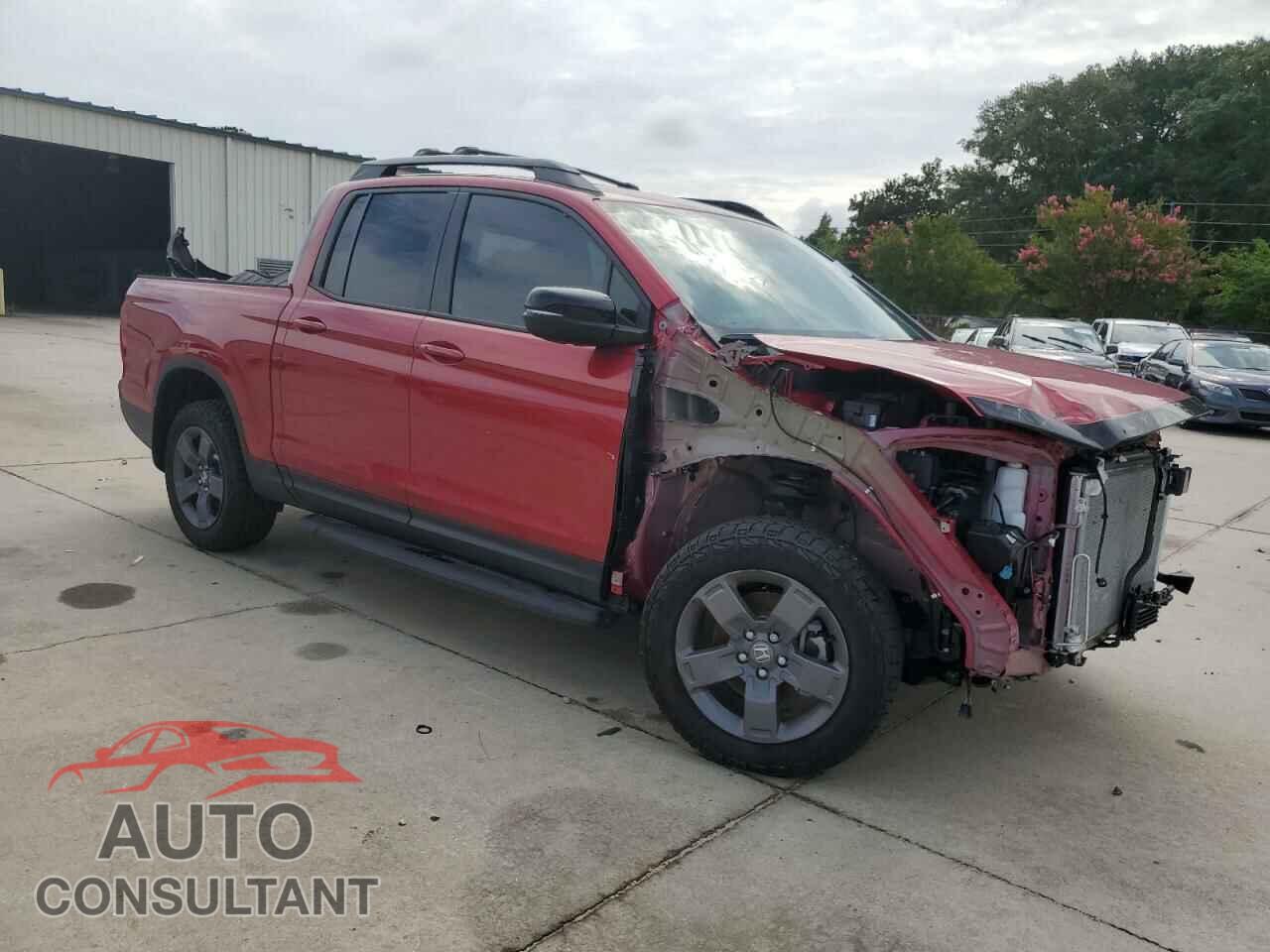 HONDA RIDGELINE 2024 - 5FPYK3F66RB014002