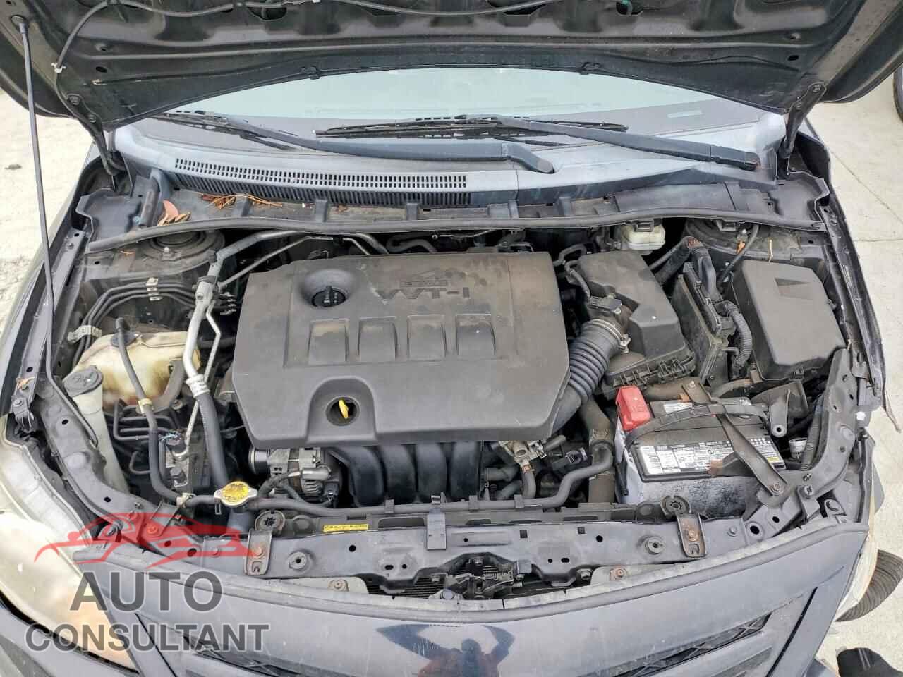 TOYOTA COROLLA 2011 - 2T1BU4EE5BC645079