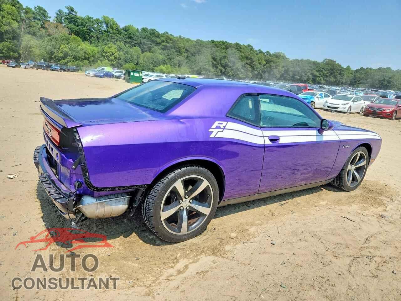 DODGE CHALLENGER 2013 - 2C3CDYBTXDH674962