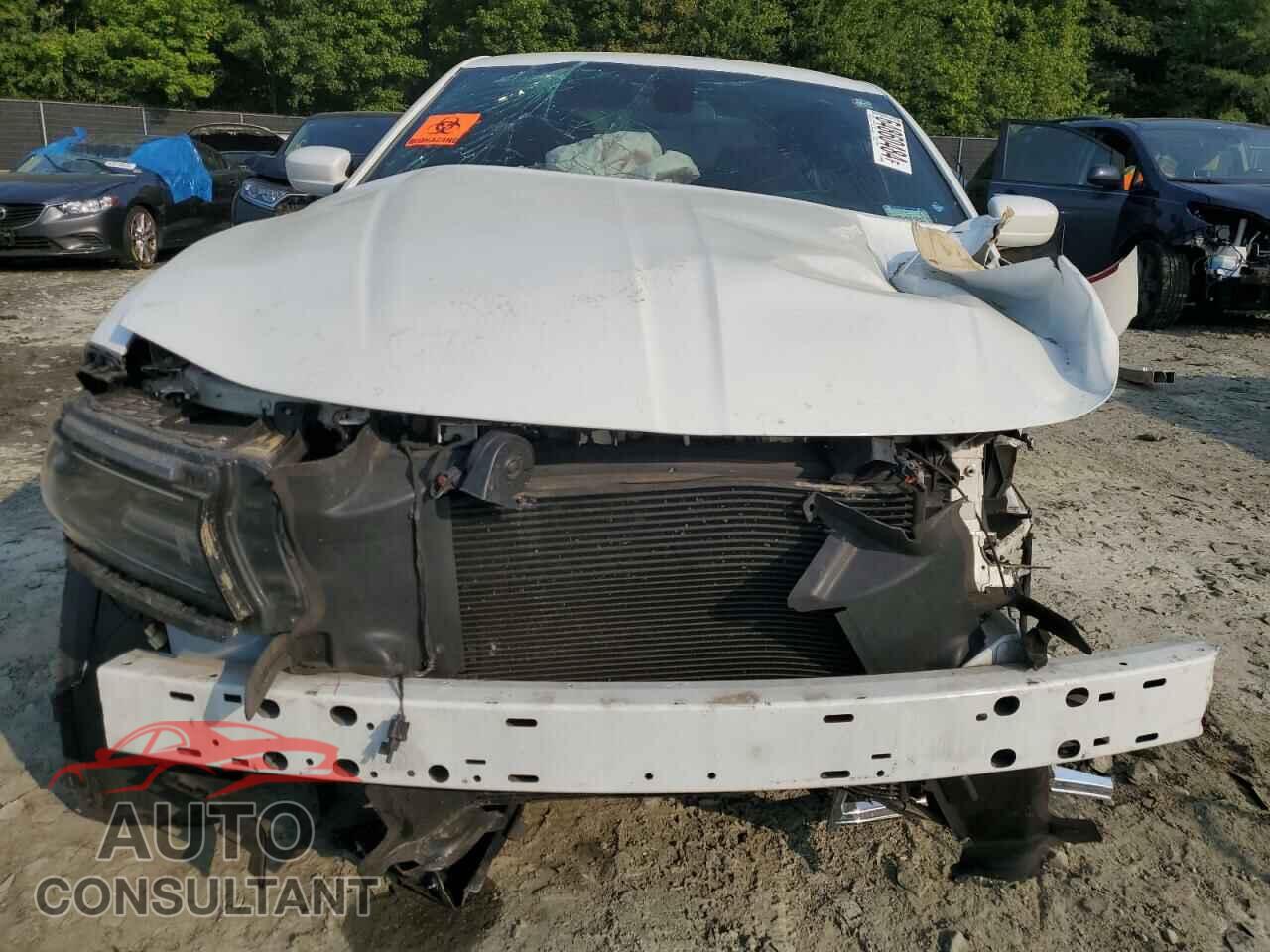 DODGE CHARGER 2019 - 2C3CDXBG5KH736732