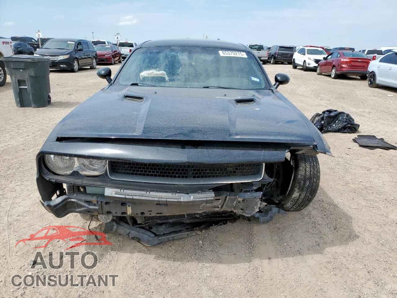 DODGE CHALLENGER 2013 - 2C3CDYAG4DH524155