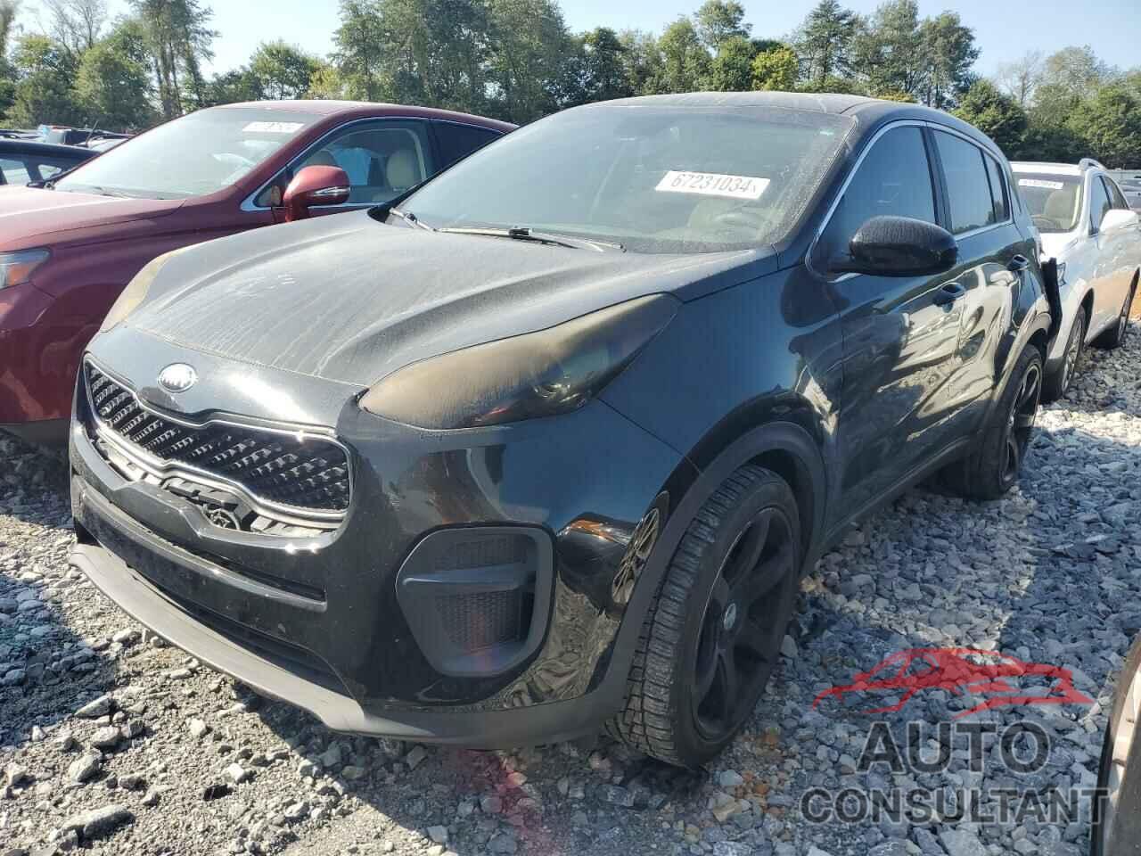 KIA SPORTAGE 2017 - KNDPM3AC3H7108578