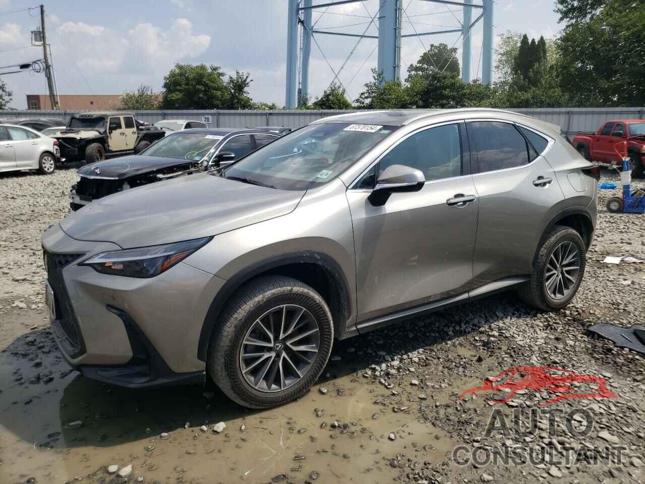 LEXUS NX 350 PRE 2024 - 2T2GGCEZ0RC049068