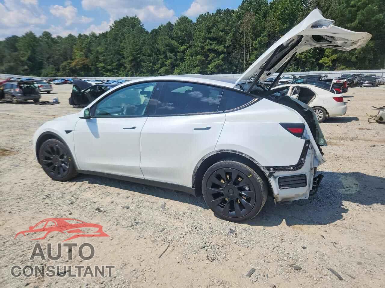 TESLA MODEL Y 2023 - 7SAYGDEE2PF638677