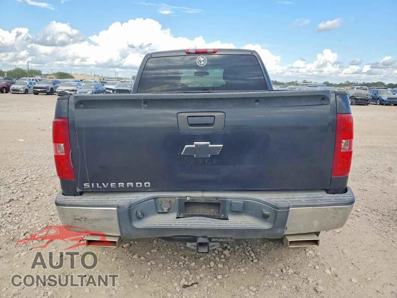 CHEVROLET SILVERADO 2009 - 1GCEC19CX9Z231237