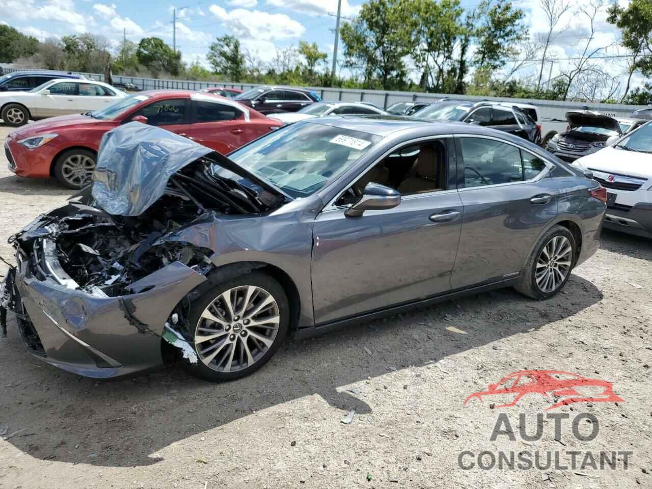 LEXUS ES300 2019 - 58AB21B13KU001772