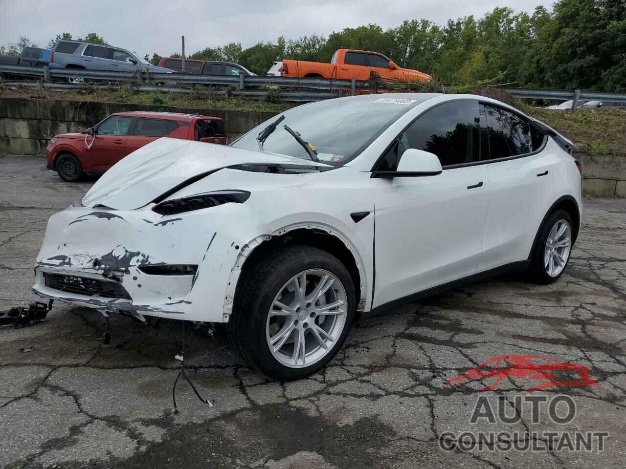 TESLA MODEL Y 2021 - 5YJYGDEE7MF199632