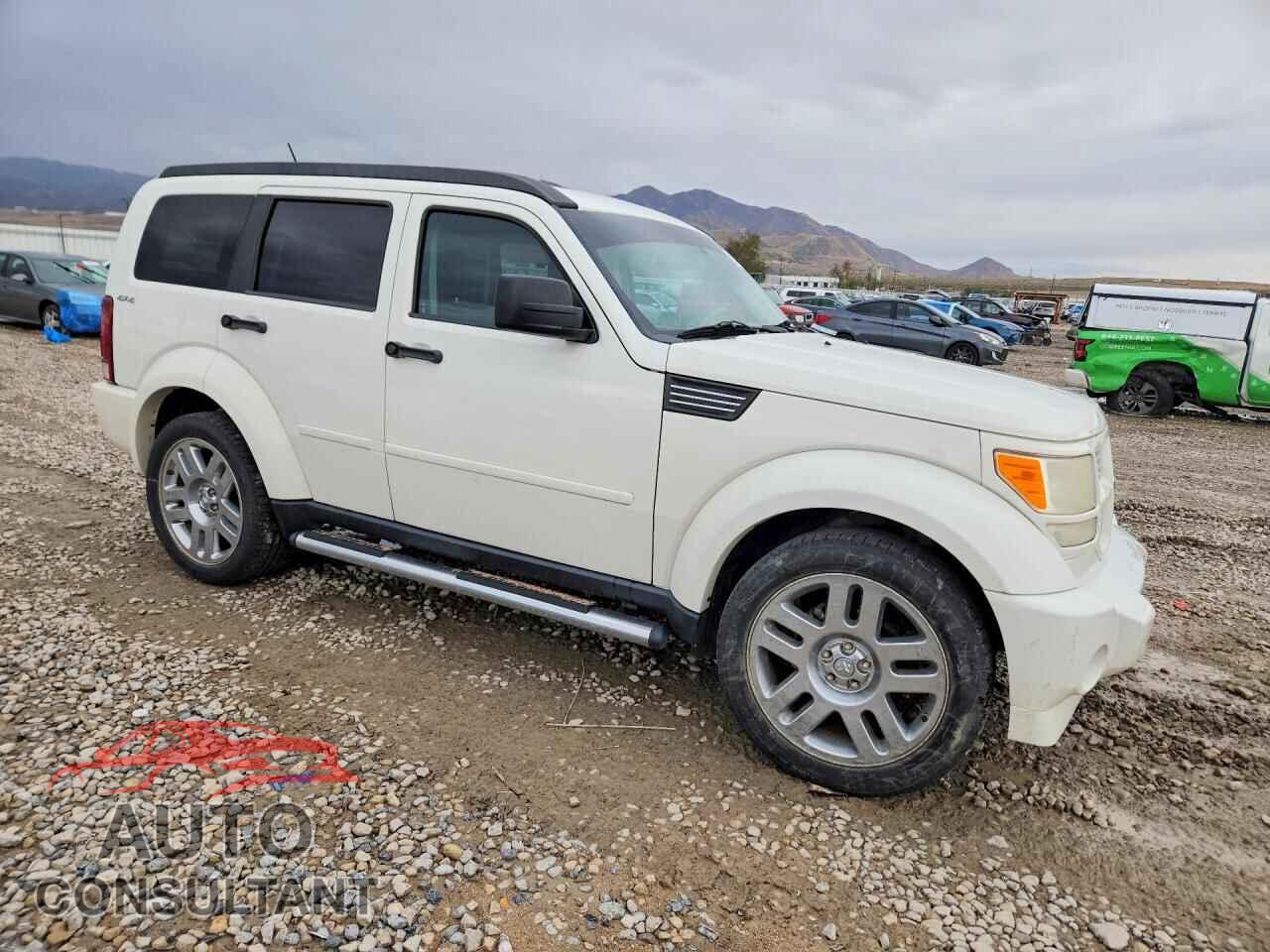 DODGE NITRO 2010 - 1D4PU5GX0AW114780