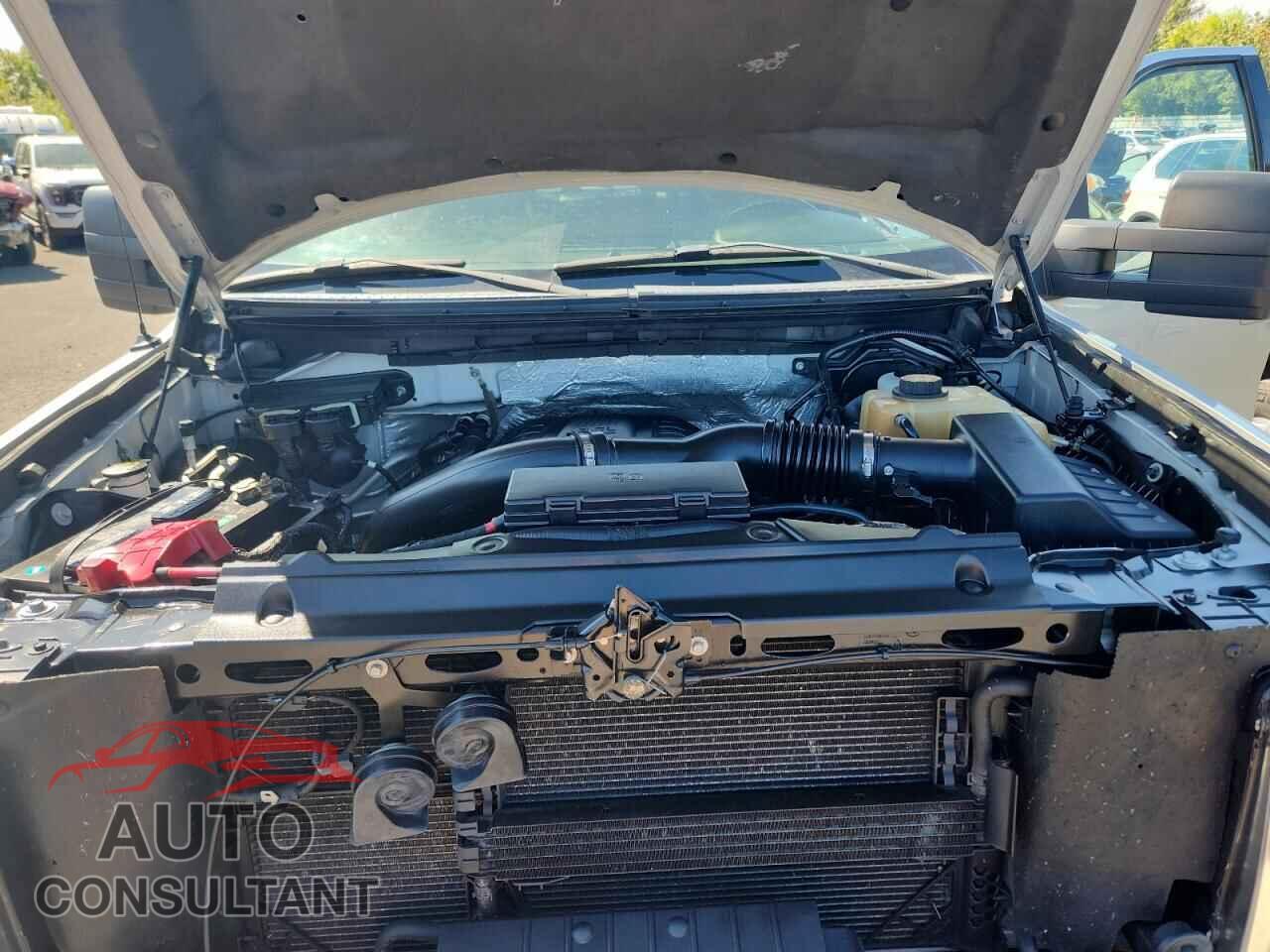 FORD F-150 2011 - 1FTFW1ET6BFD08761