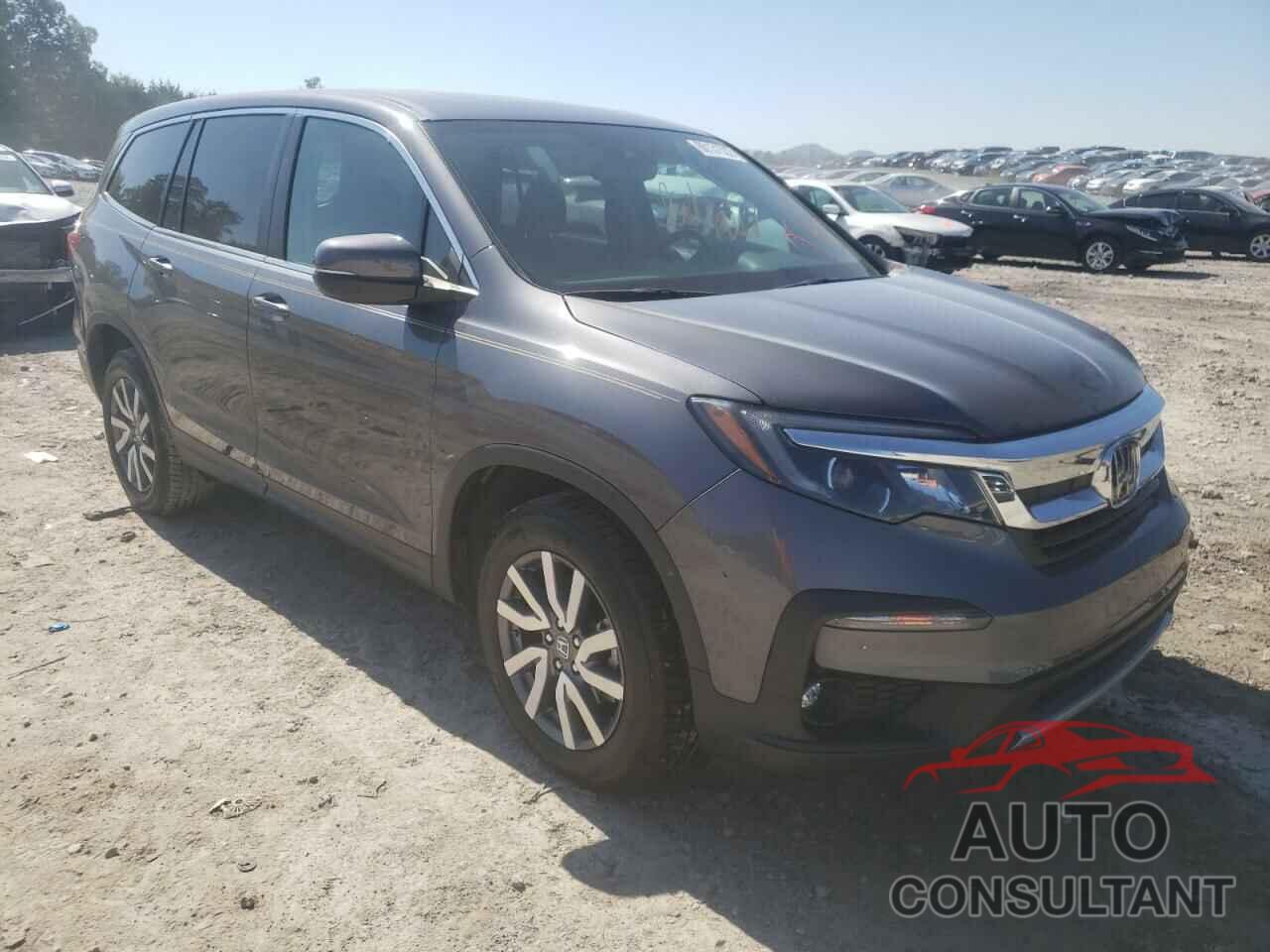 HONDA PILOT 2019 - 5FNYF6H50KB031595