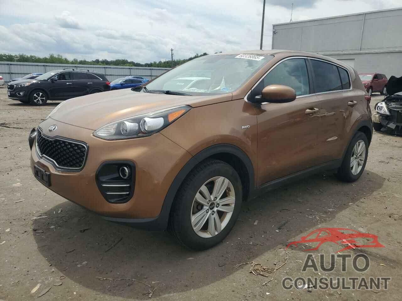 KIA SPORTAGE 2019 - KNDPMCAC3K7509149