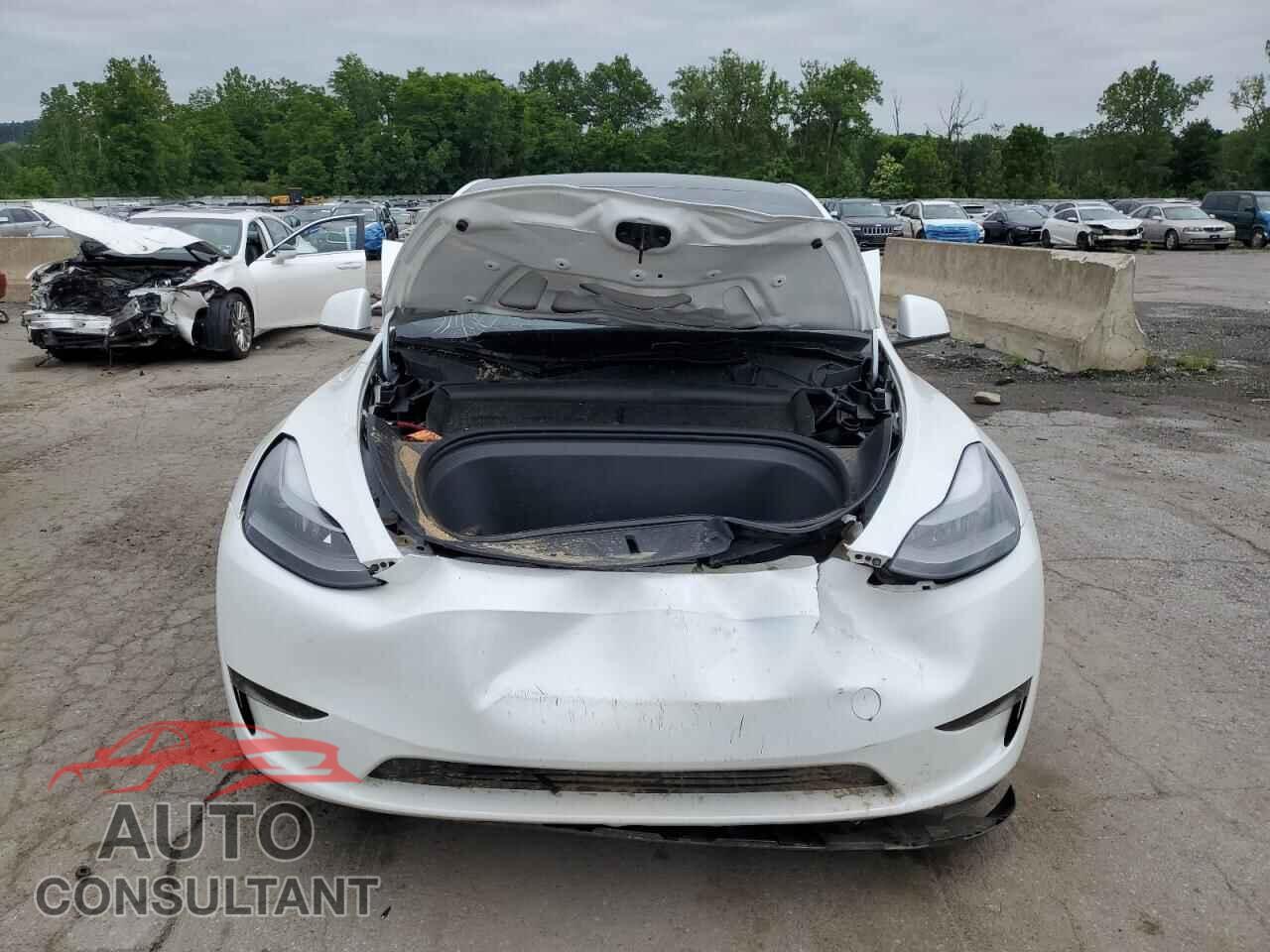 TESLA MODEL Y 2024 - 7SAYGDED1RF094232