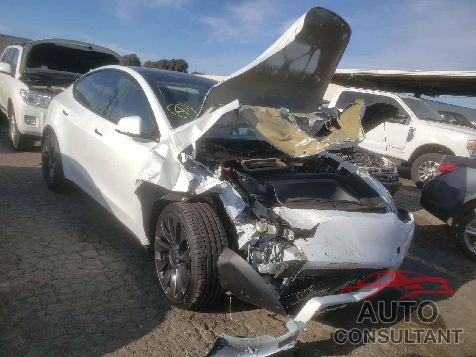TESLA MODEL Y 2020 - 5YJYGDEF0LF058800