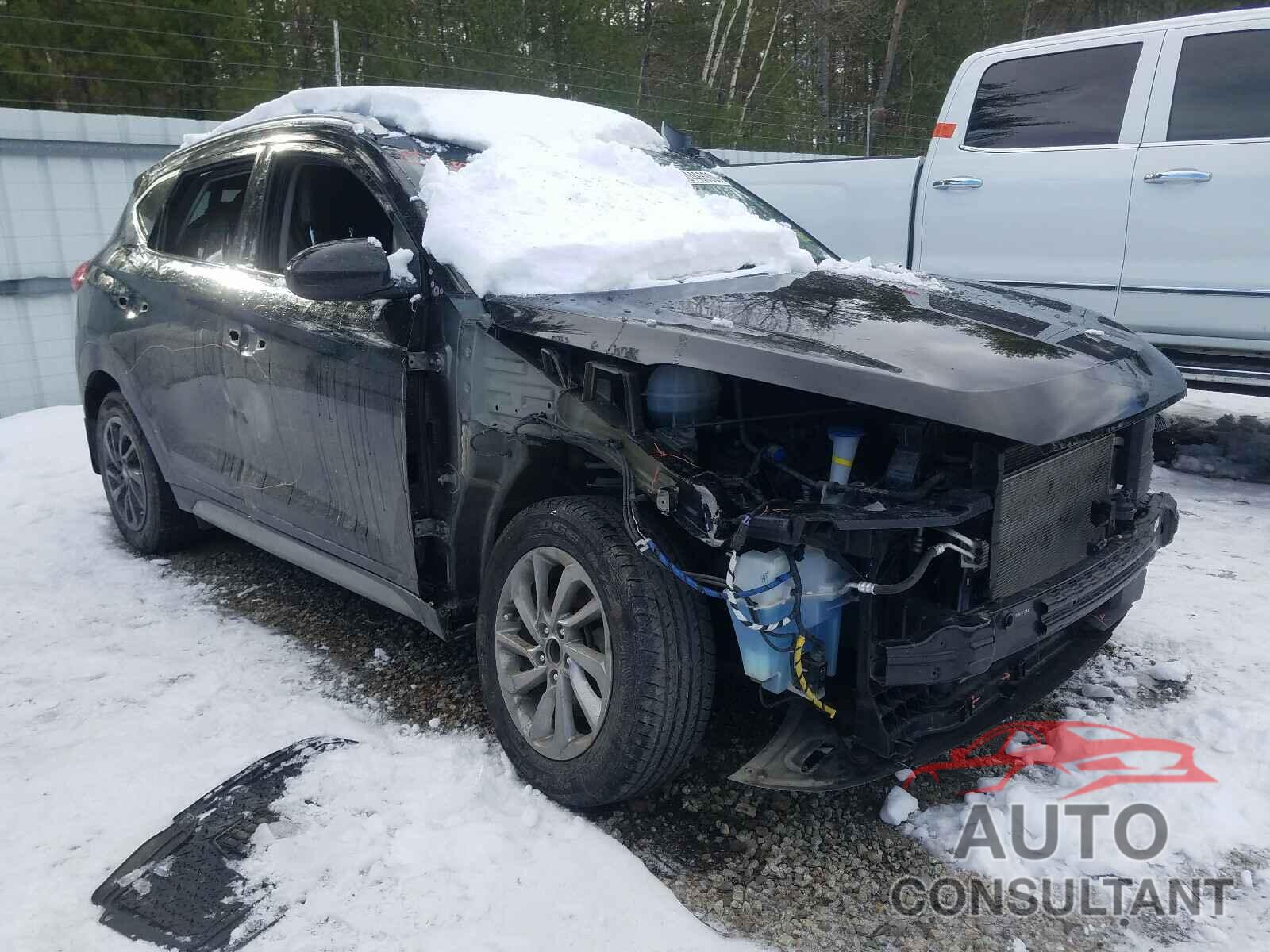 HYUNDAI TUCSON 2017 - KM8J3CA41HU369562