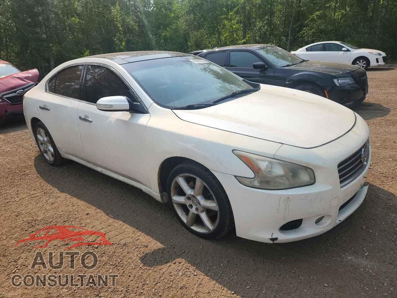 NISSAN MAXIMA 2010 - 1N4AA5AP4AC851069