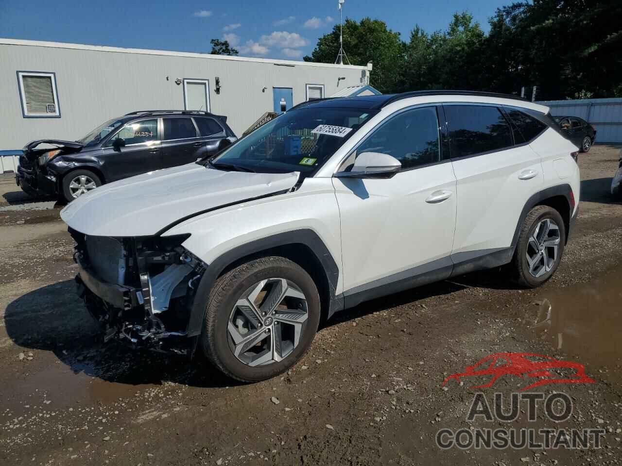 HYUNDAI TUCSON 2022 - 5NMJECAE7NH125487