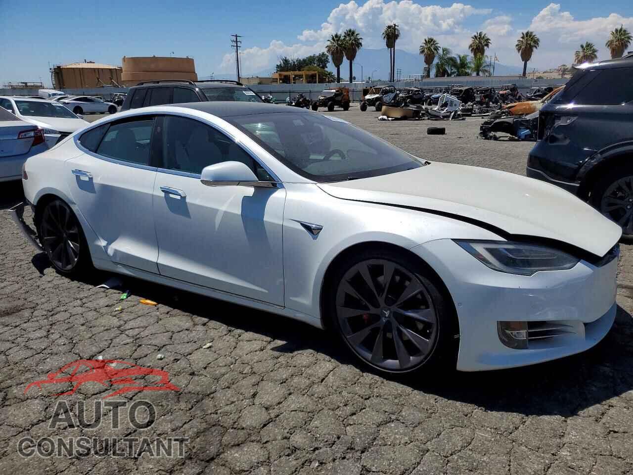 TESLA MODEL S 2019 - 5YJSA1E41KF339829