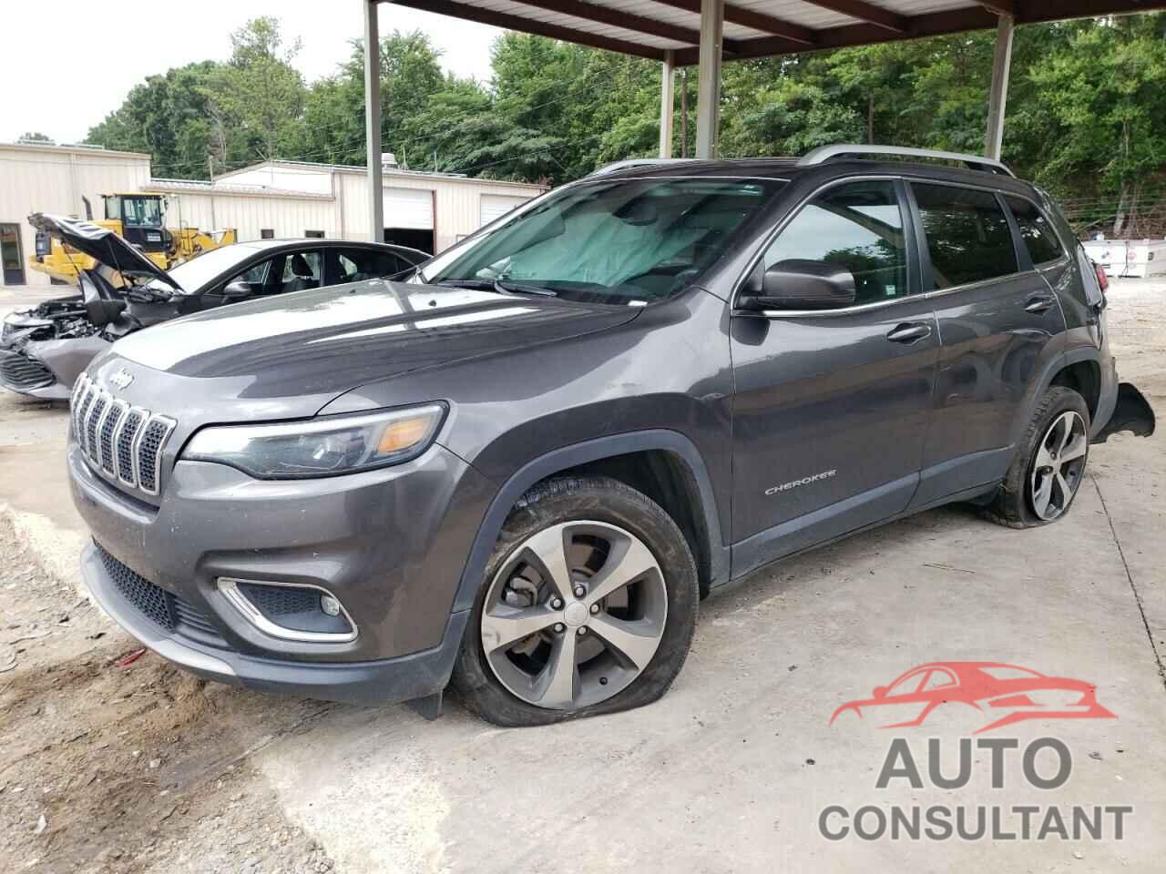 JEEP GRAND CHER 2019 - 1C4PJLDBXKD297041