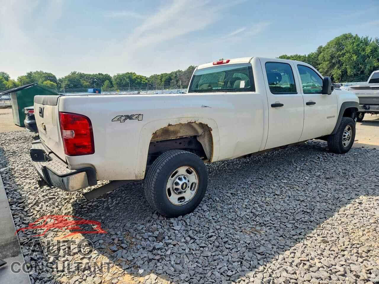 CHEVROLET SILVERADO 2011 - 1GC1KVCG9BF222394