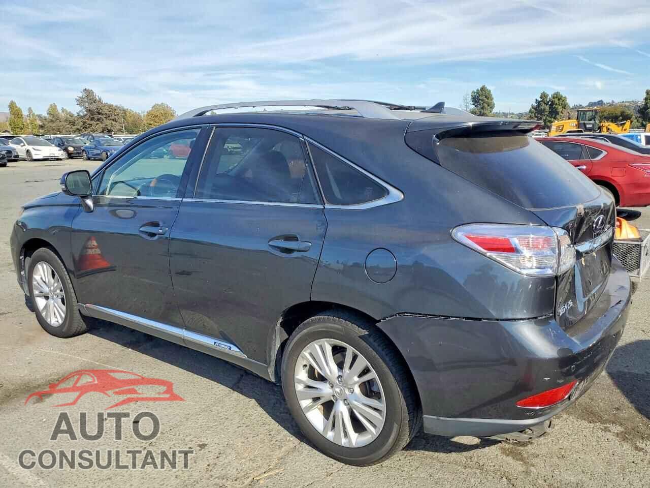 LEXUS RX450 2010 - JTJBC1BA9A2407913