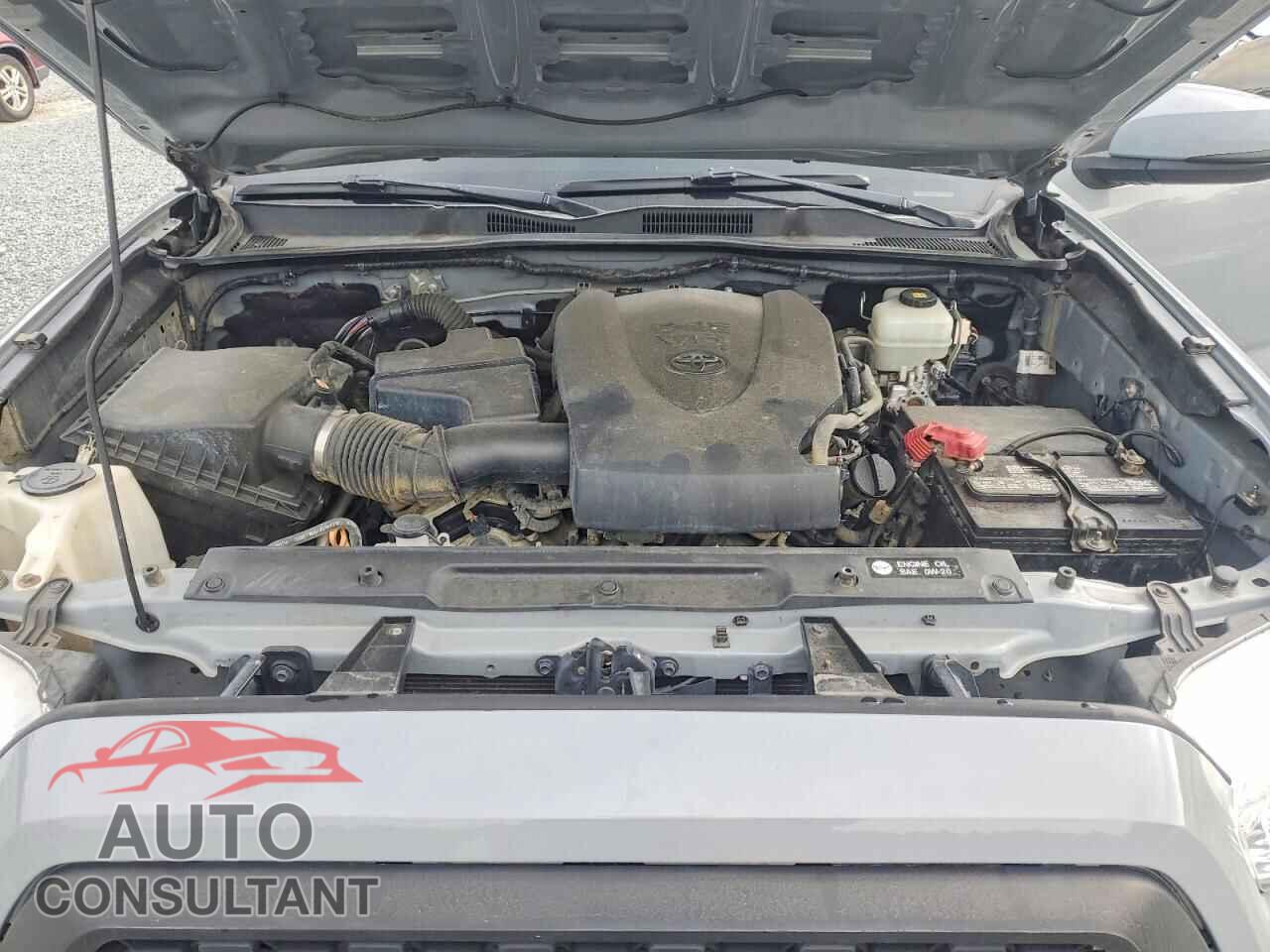 TOYOTA TACOMA 2019 - 3TMCZ5ANXKM228551