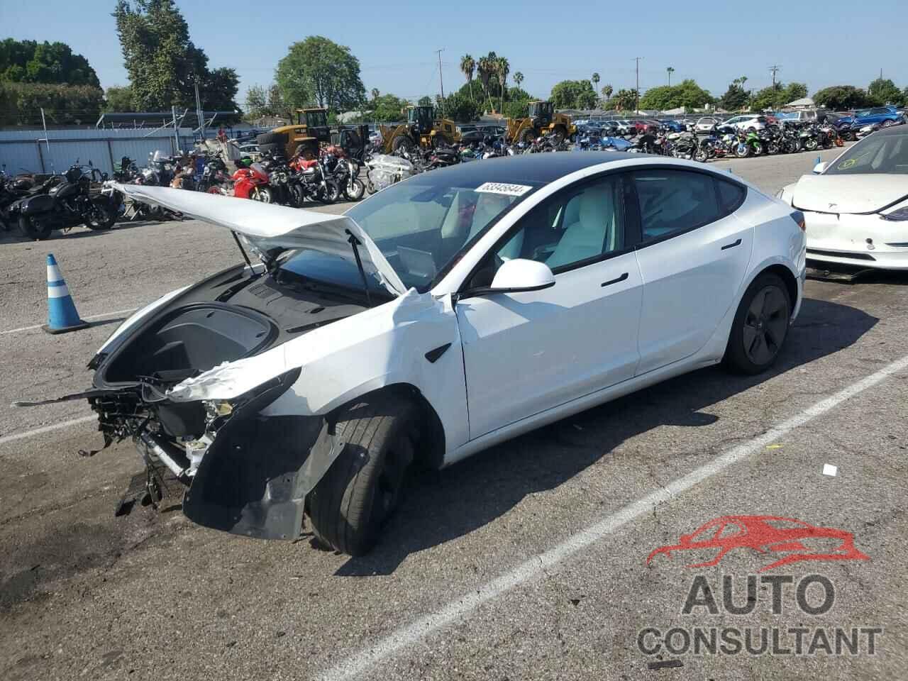 TESLA MODEL 3 2021 - 5YJ3E1EA8MF987475