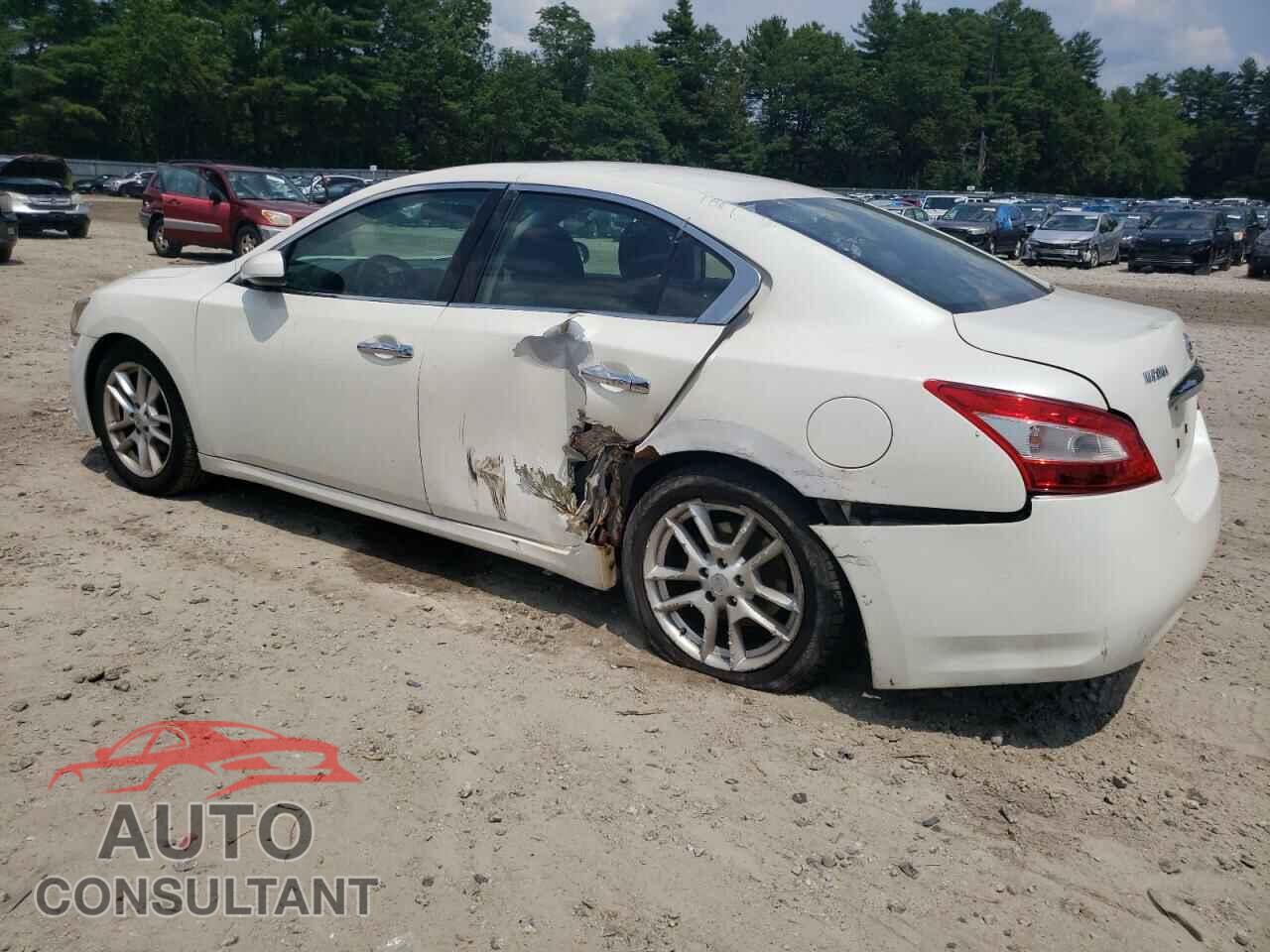 NISSAN MAXIMA 2009 - 1N4AA51E09C833601