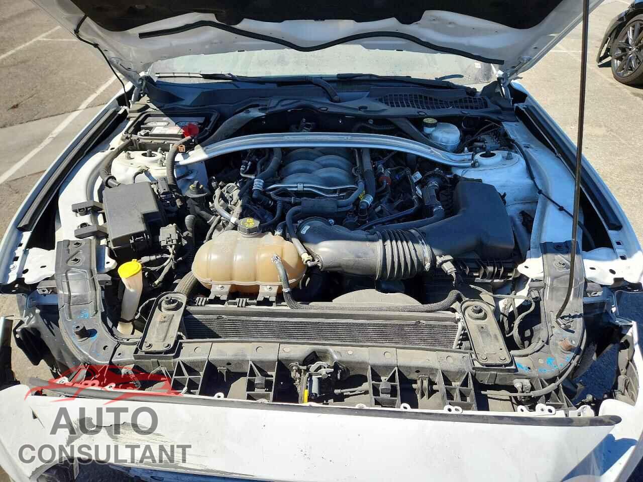 FORD MUSTANG 2019 - 1FA6P8CF3K5169218