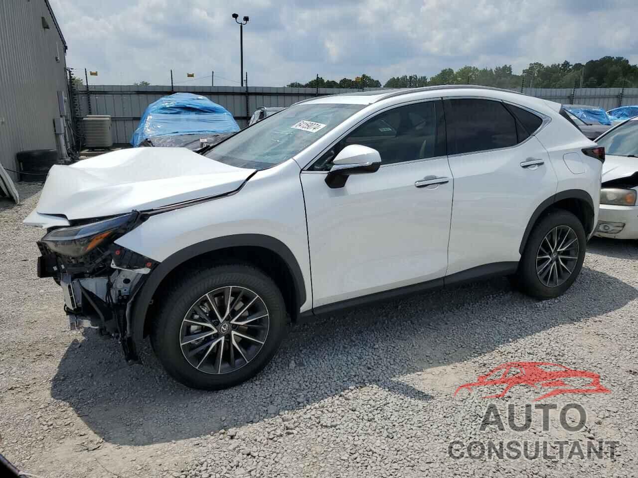 LEXUS NX 350H BA 2024 - 2T2AKCEZ3RC029028