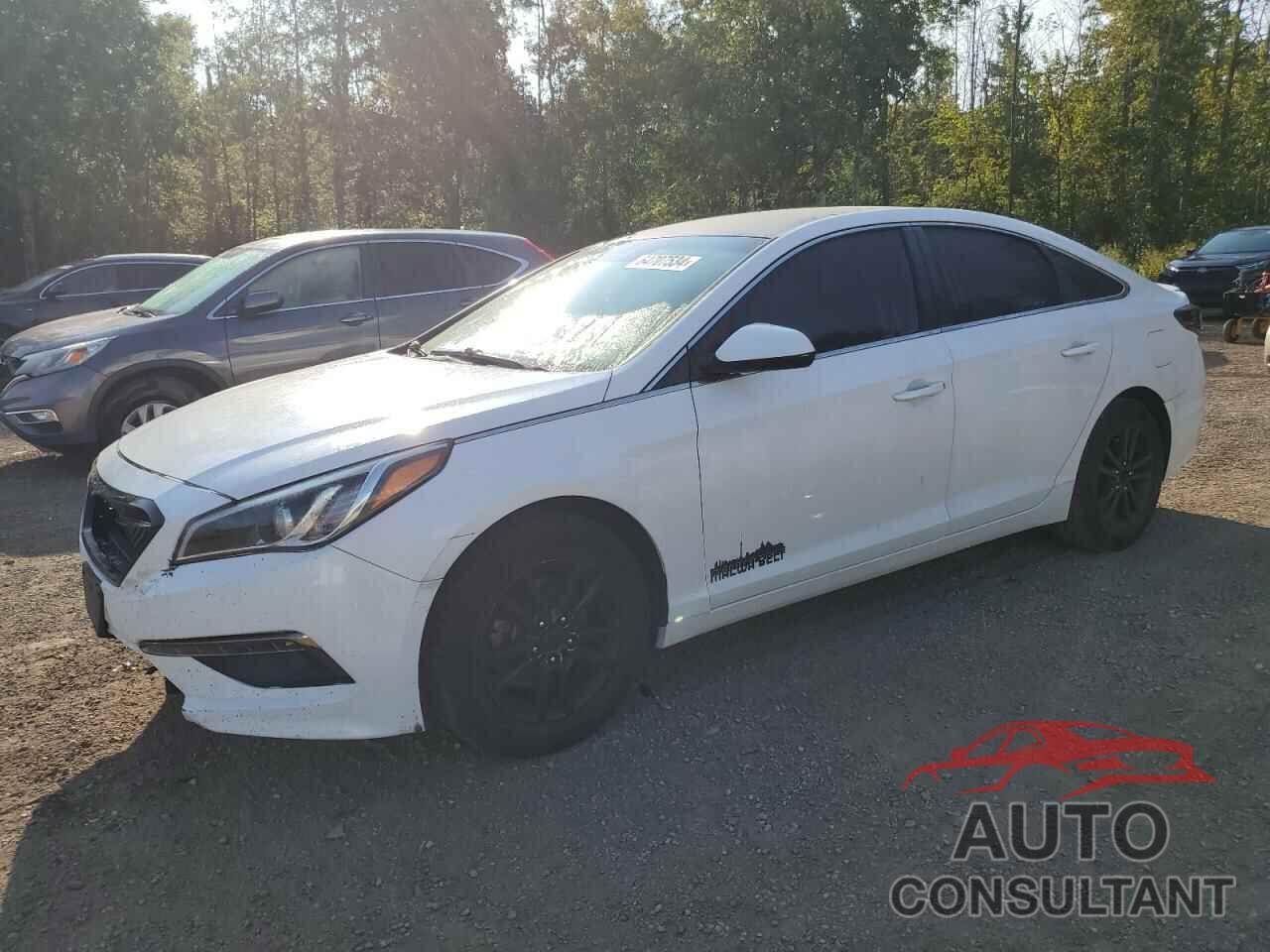 HYUNDAI SONATA 2017 - 5NPE24AF5HH471649