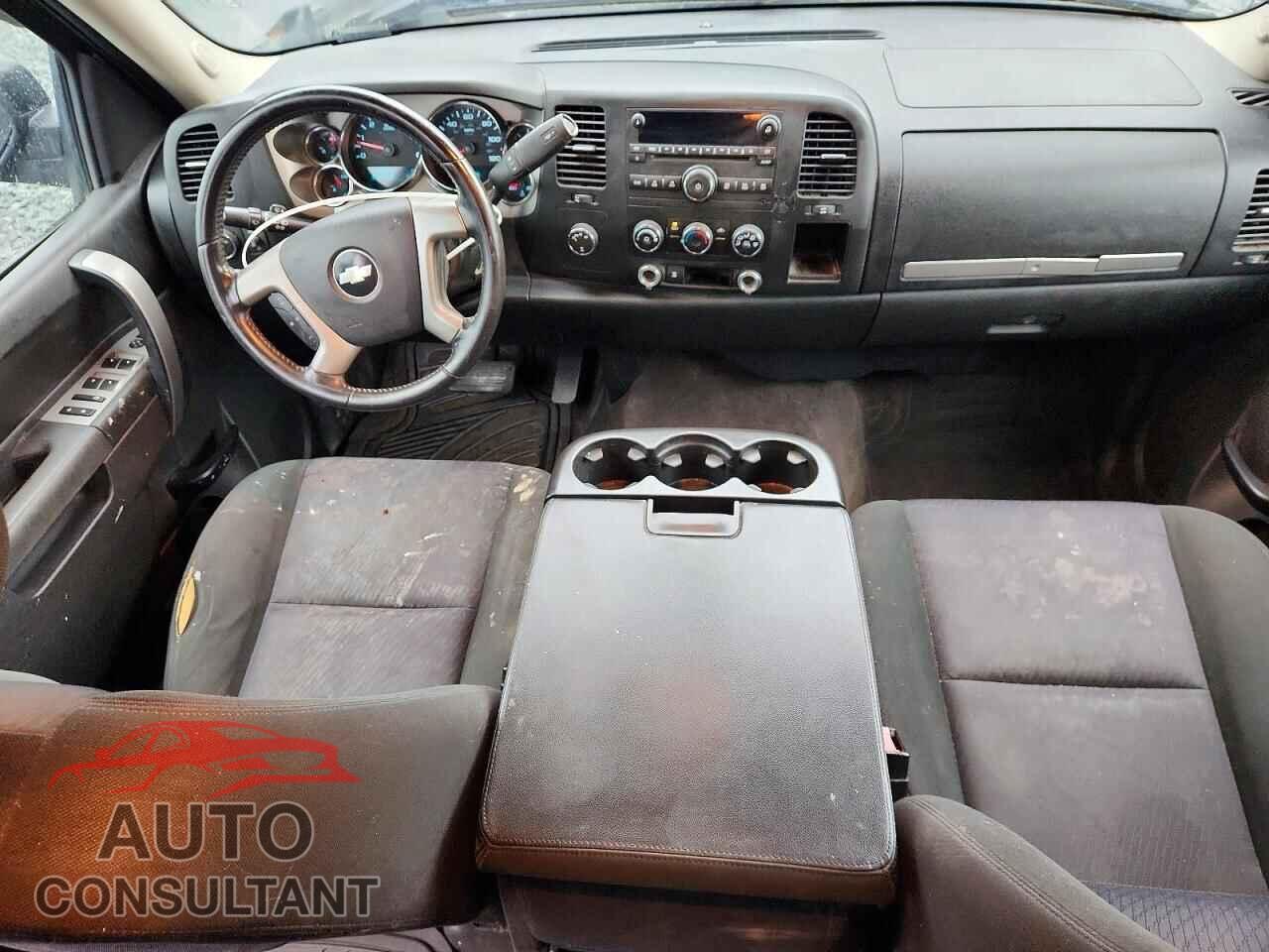 CHEVROLET SILVERADO 2010 - 1GCSKSE36AZ207975