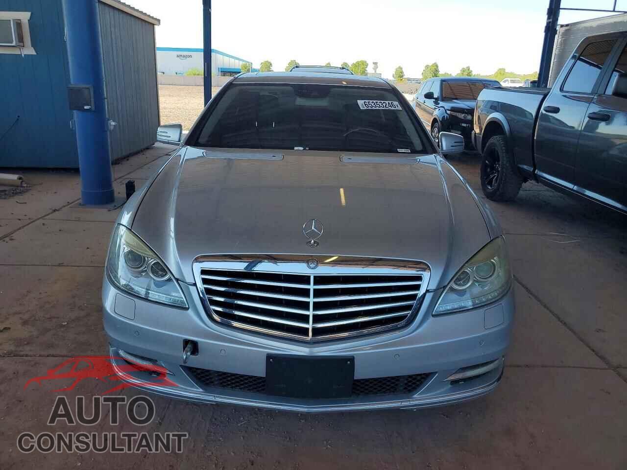 MERCEDES-BENZ S-CLASS 2010 - WDDNG9FB2AA316550