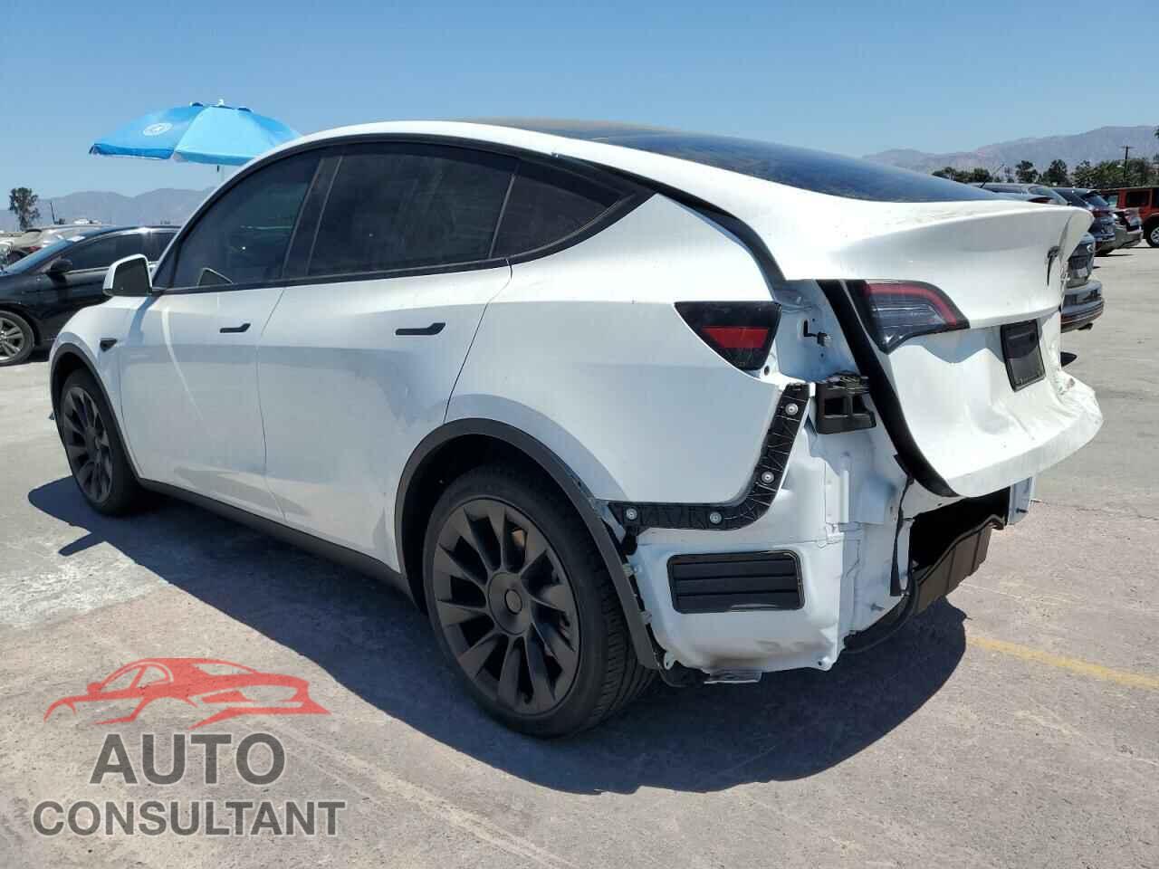 TESLA MODEL Y 2023 - 7SAYGDED6PF977983