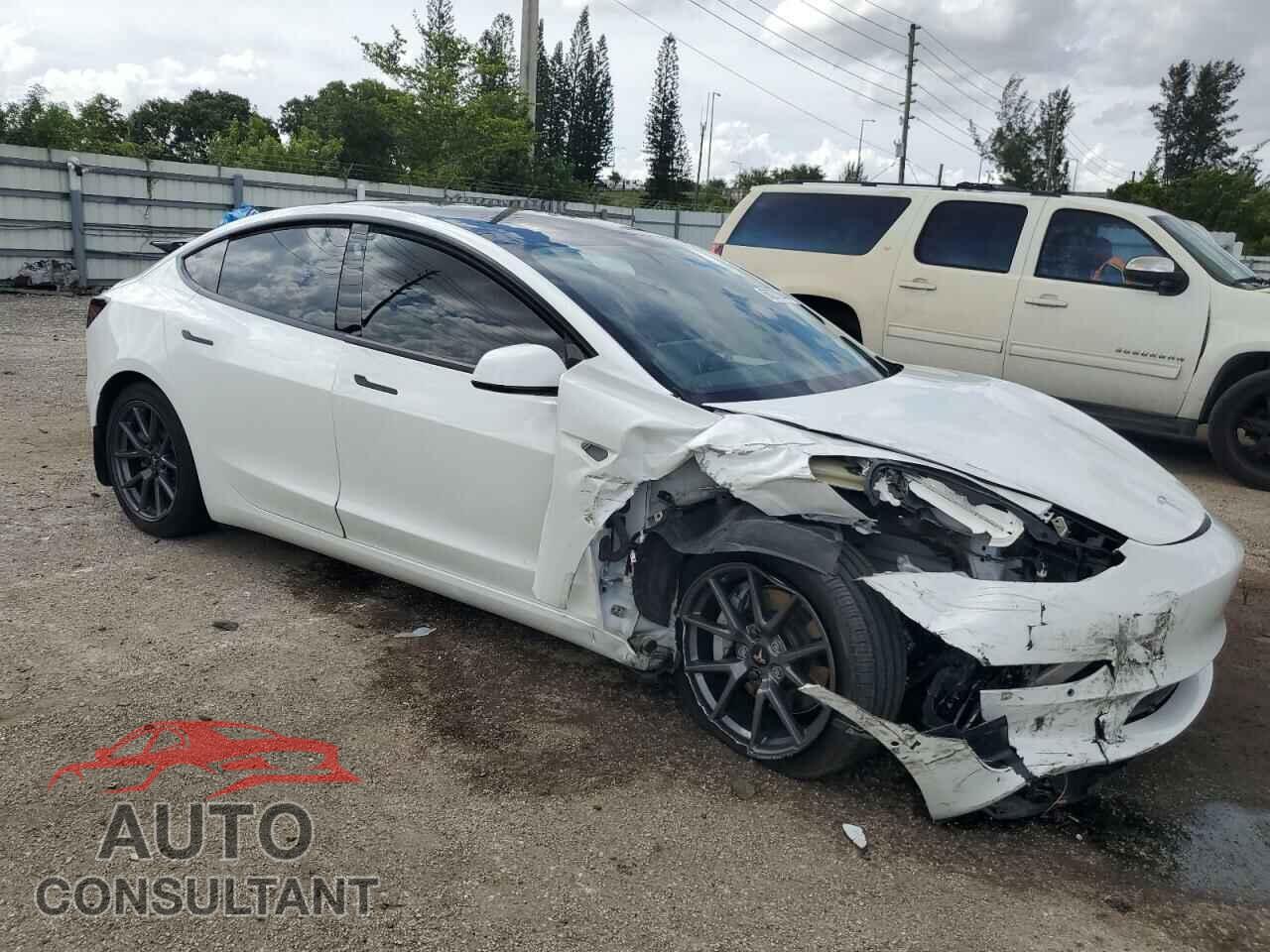 TESLA MODEL 3 2021 - 5YJ3E1EA5MF092087