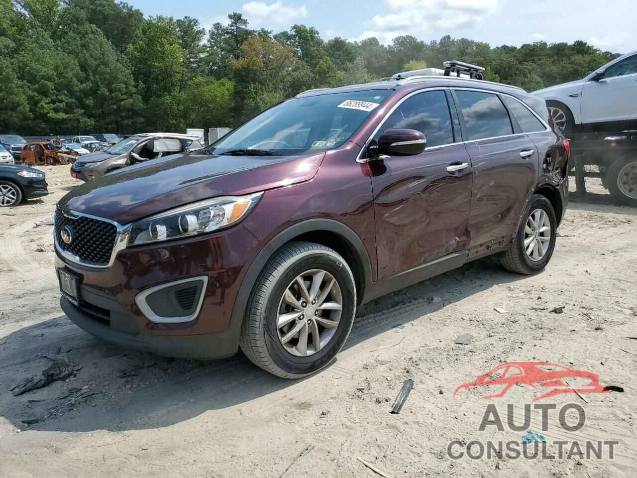 KIA SORENTO 2016 - 5XYPG4A37GG144966