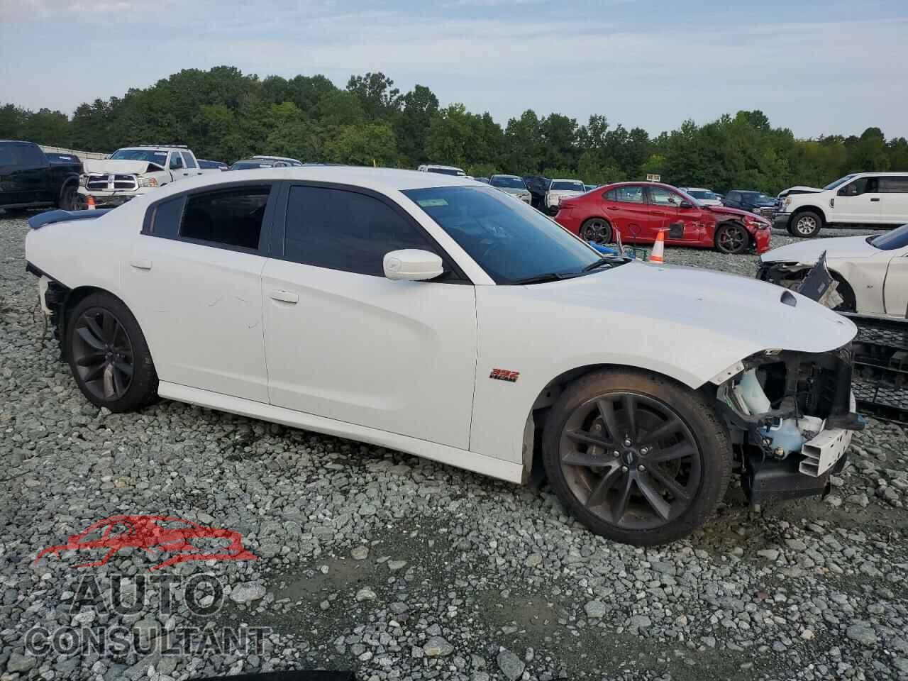 DODGE CHARGER 2019 - 2C3CDXGJ6KH558253